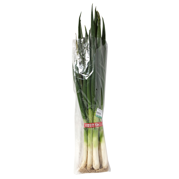 국내산 대파(특_왕대) 1단