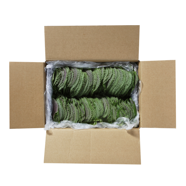 국내산 찹찹이깻잎(특) 1kg  박스