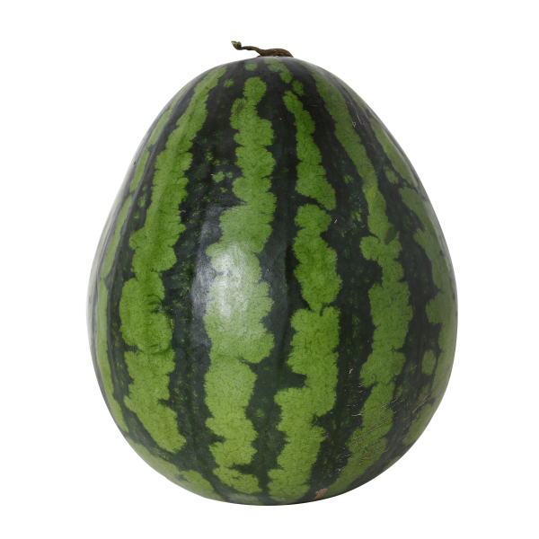 국내산 수박 8kg  1통